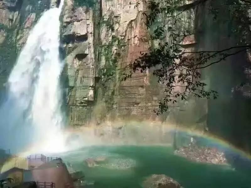饿狮救援